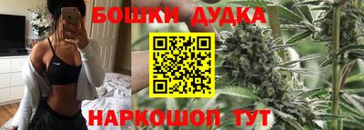 jwh Свободный
