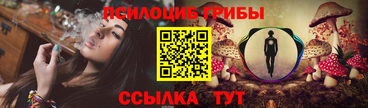 Россошь  Галлюциногенные грибы GOLDEN TEACHER  Вход с VPN 